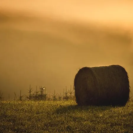 14 Prázdninový dům